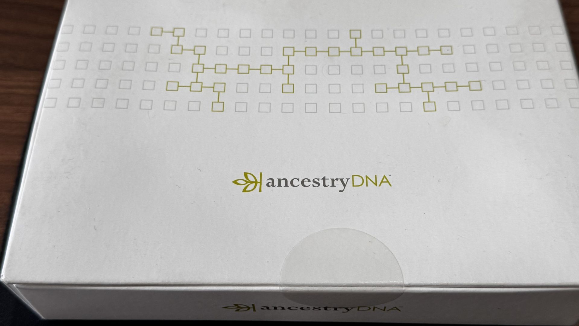 Ancestry DNA Bundle