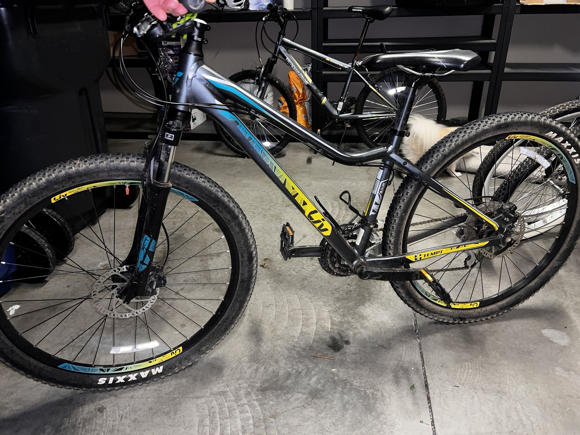 2017 Tempt 4 CrossCountry Bike