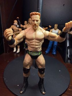 WWE action figure