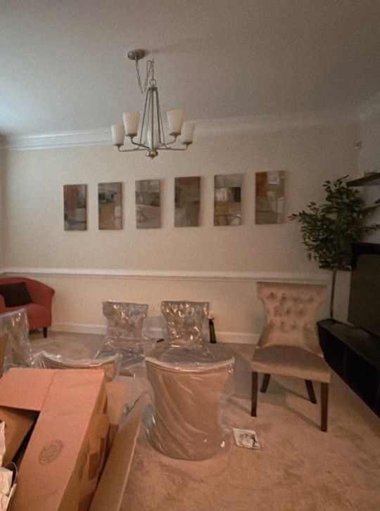 6 Brand New Dining Chairs