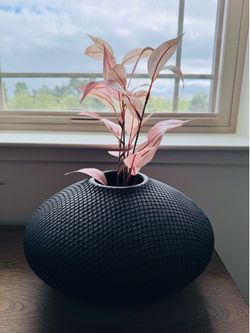 New CB2 crate barrel Cusco Textured Black Terracotta Vase Wide