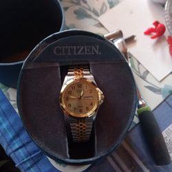 Citizen watch
