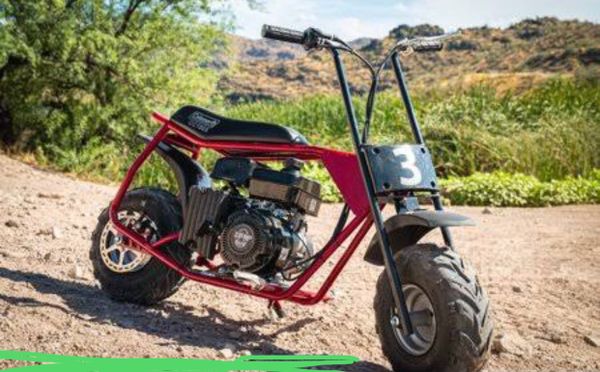 coleman 100cc mini bike for sale