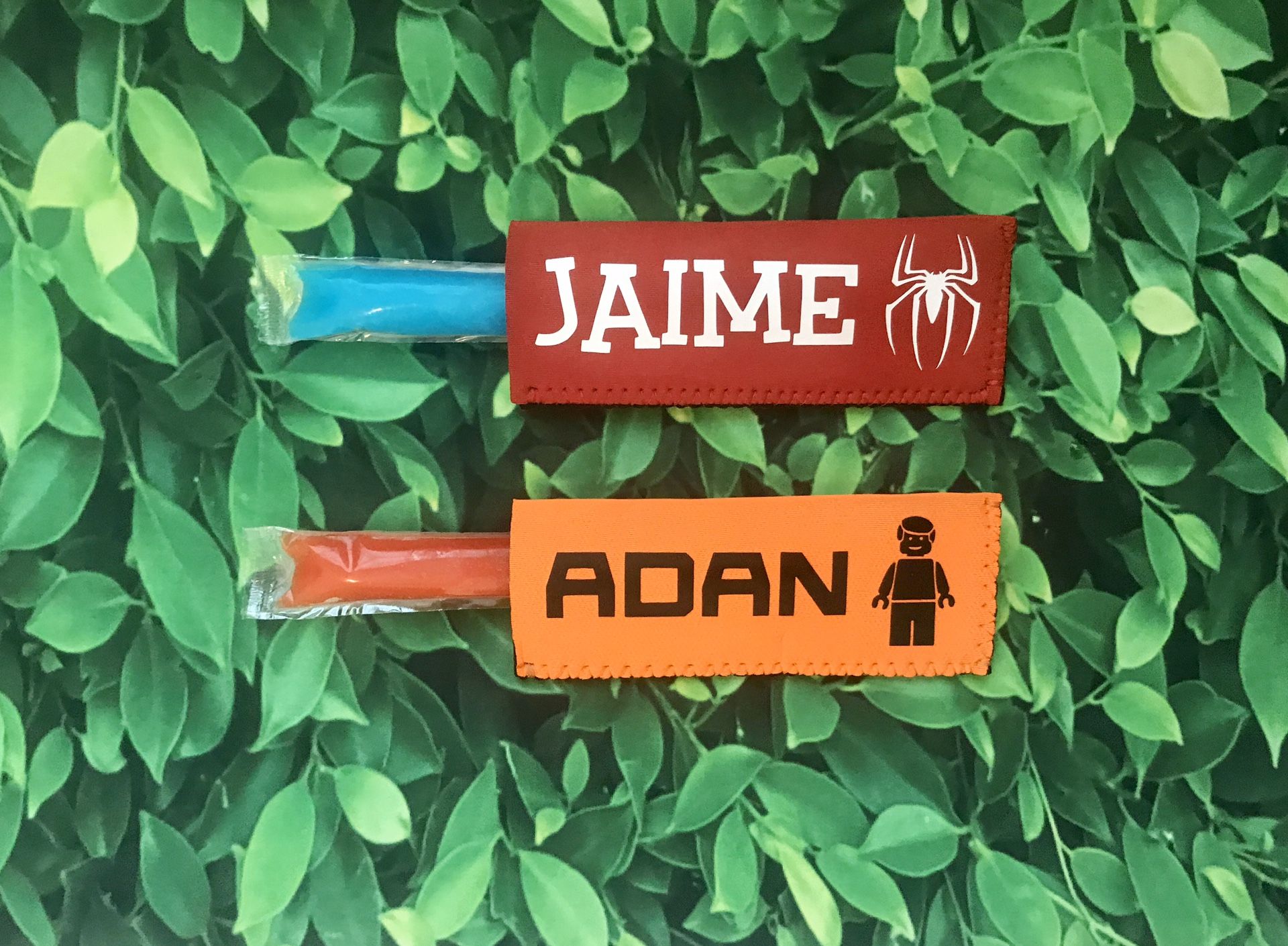 Personalized popsicle holders