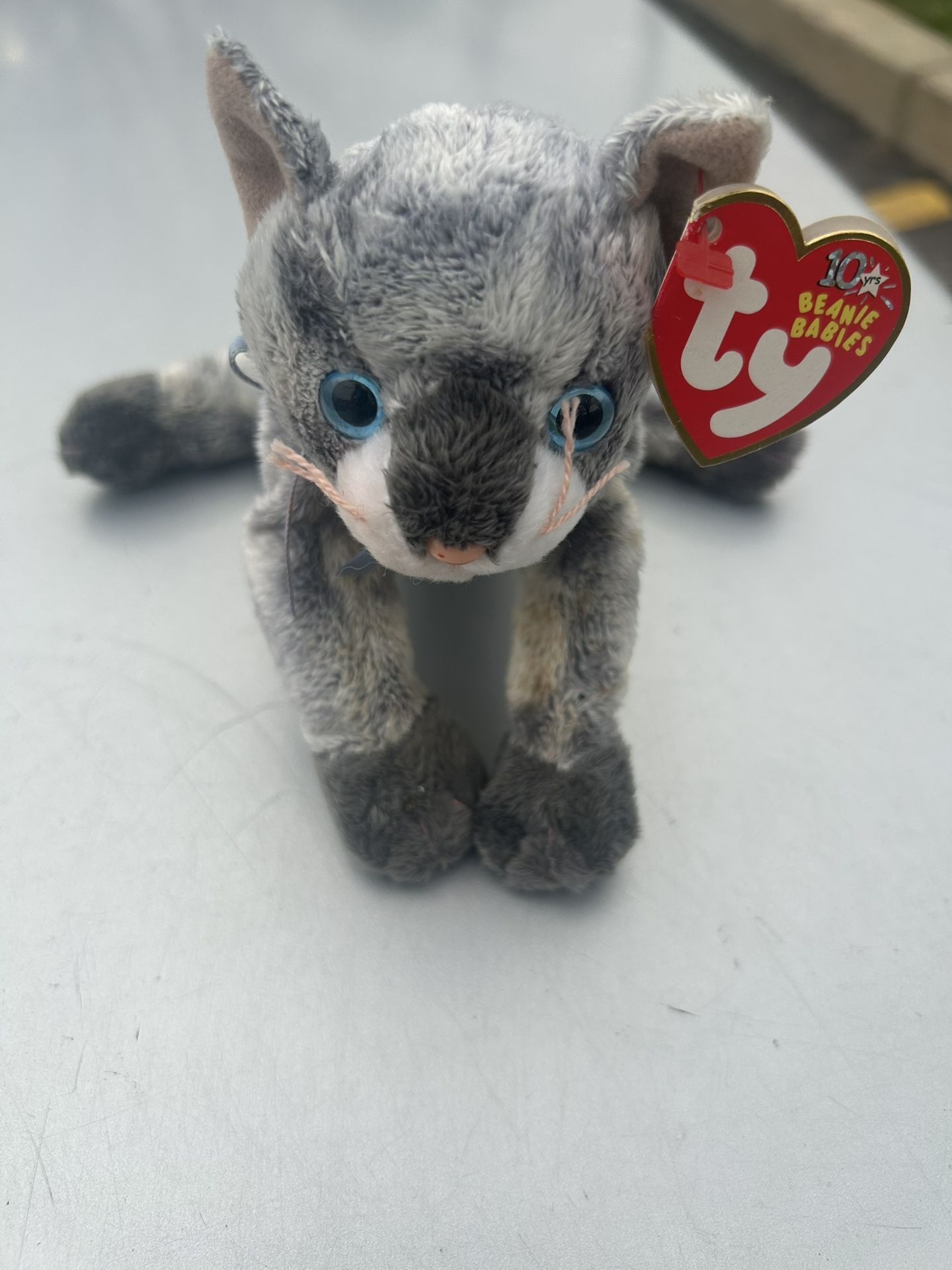 Beanie Baby 2002 Meet Foxchase Wawa 7913 Oxford Ave 19111 10.00