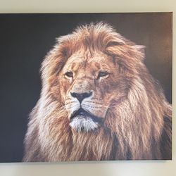 Lion Canvas