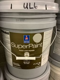 Exterior Super Paint + Primer (Gray Huskie)