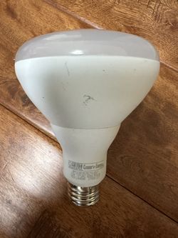 BR30 LED Light Bulbs