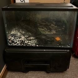 10 Gallon Fish Tank 