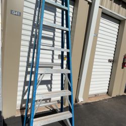 12 Foot Ladder 