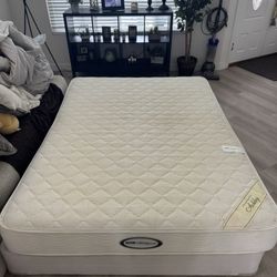 Queen Mattress Free W/box Spring 
