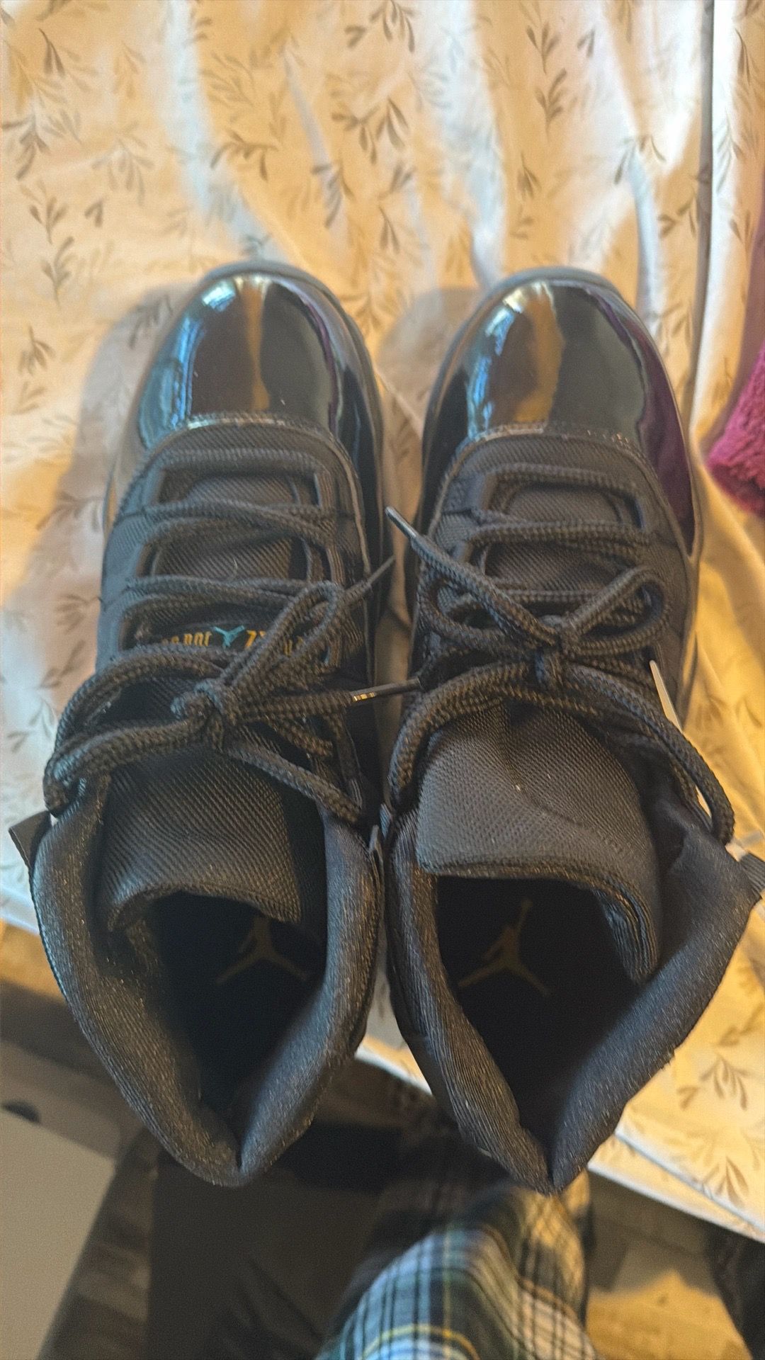 Brand new Jordan 11 gamma