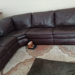 Brown Couch 
