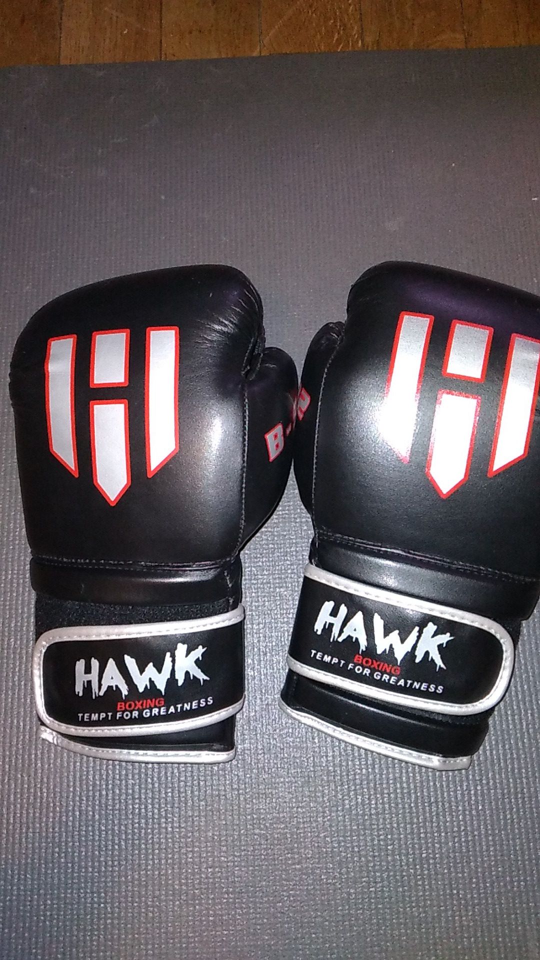 HAWK 12oz boxing gloves