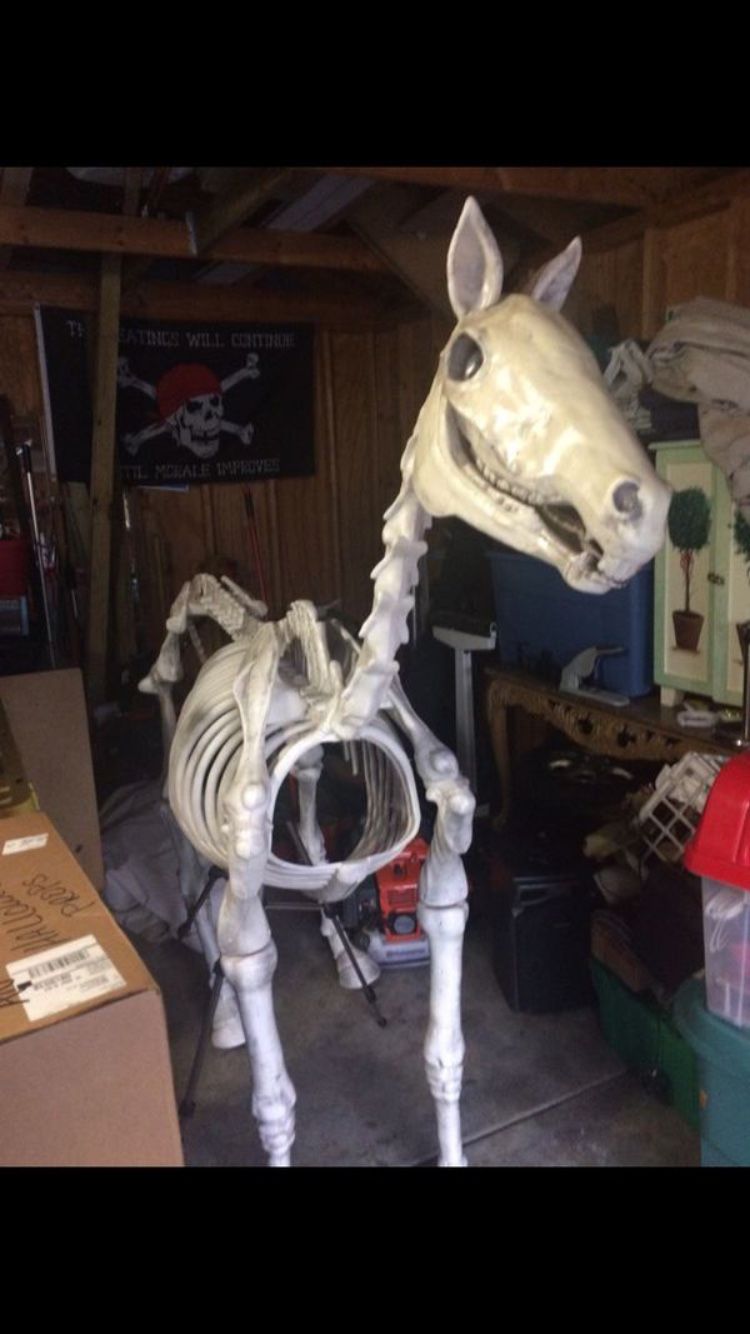 Halloween skeleton horse life size for Sale in Mundelein, IL OfferUp