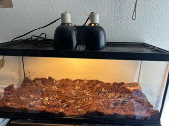 reptile tank