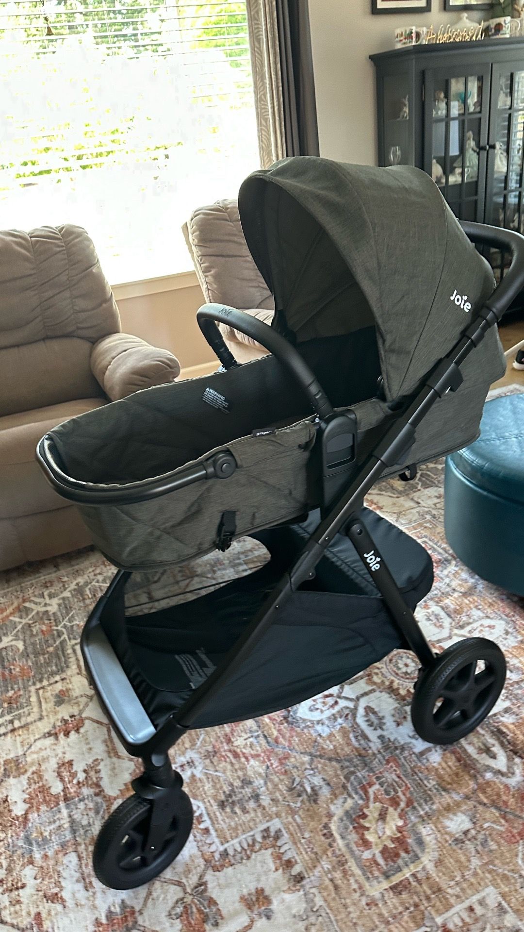 Brand New Joie Ginger Stroller
