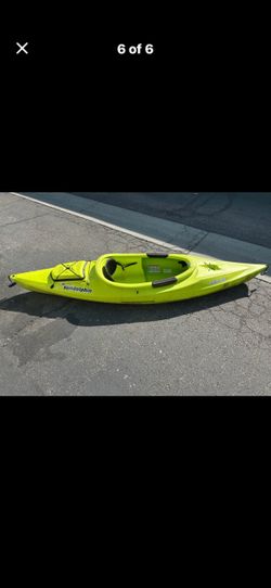 Dolphin sit in kayak