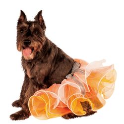 RUBIE'S PET SHOP BOUTIQUE HALLOWEEN DOG TUTU S/M & M/L