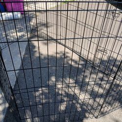 Dog Cage 16x3