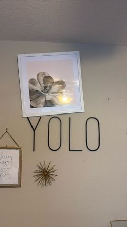 yolo letters