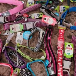 Kong Brand Collars Different Sizes 