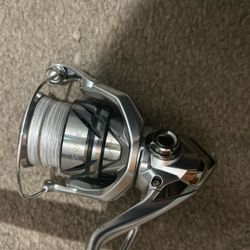 Jigging World Nexus Medium 10-20lb 3/4-1.5 Oz With Shimano Stradic 3000