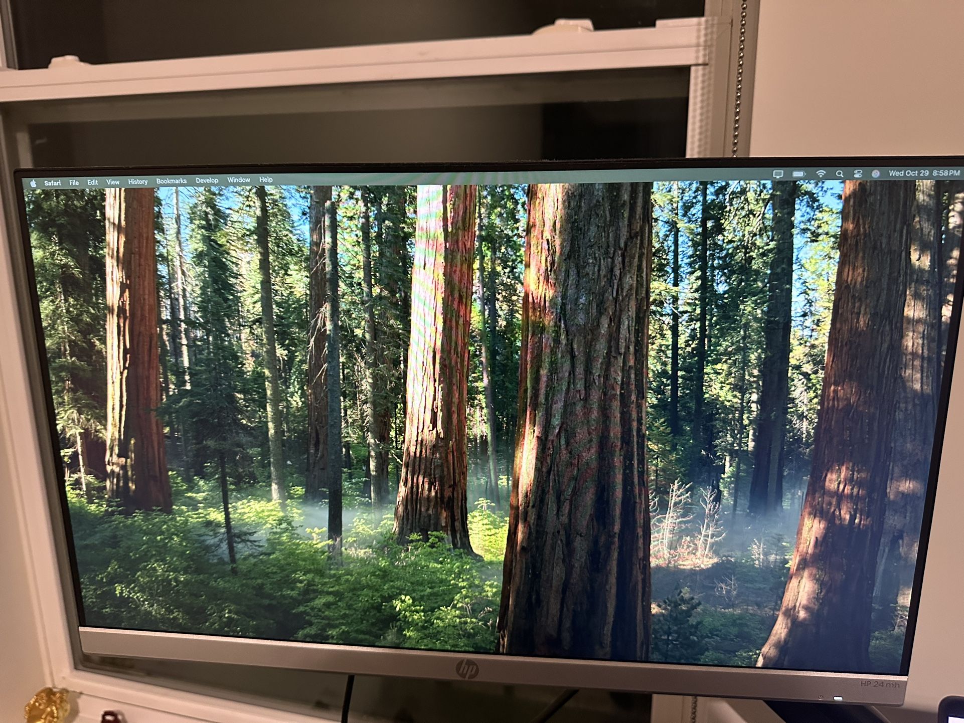 Monitor - HP 23.8 Inch FHD