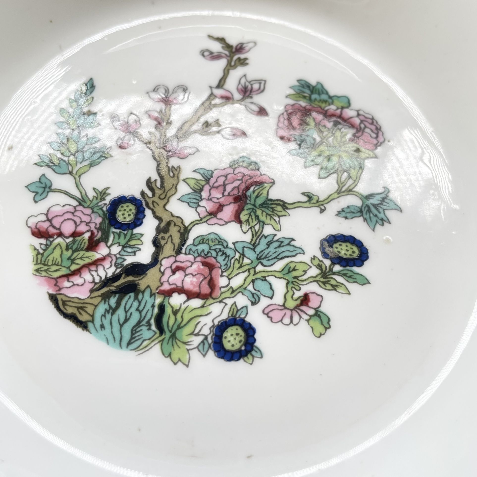 Vtg Ashley Bone China England Floral Plant Round Vanity Jewelry Dish 5” c1960