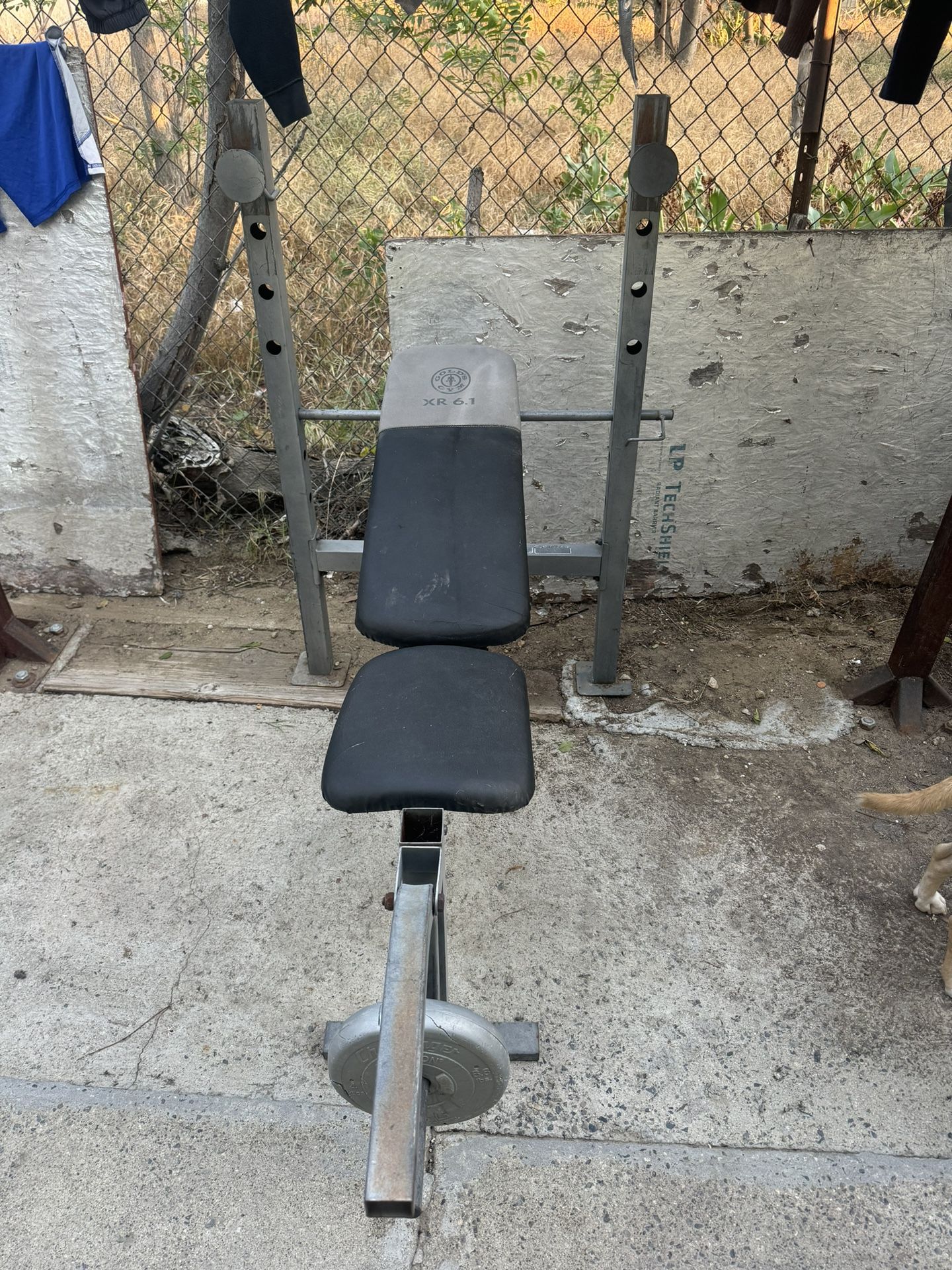Bench Press No Bar No Weight.