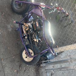 Doodle Bug Mini bike 