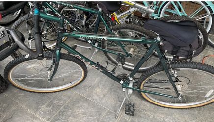 Giant Iguana Bikes 