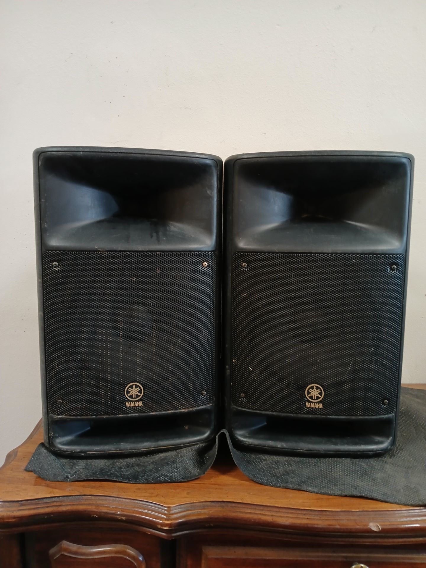 Pair of Yamaha StagePass 500