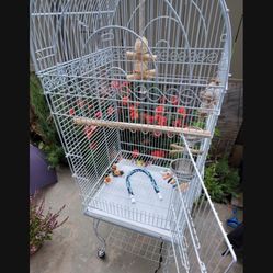 Large bird cage 