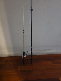 Two Fishing Rods with Spinning Reel