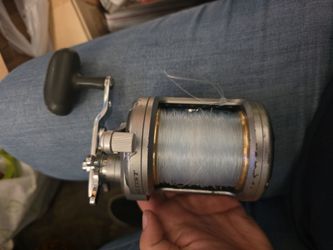 Daiwa saltist 50 conventional fishing reel