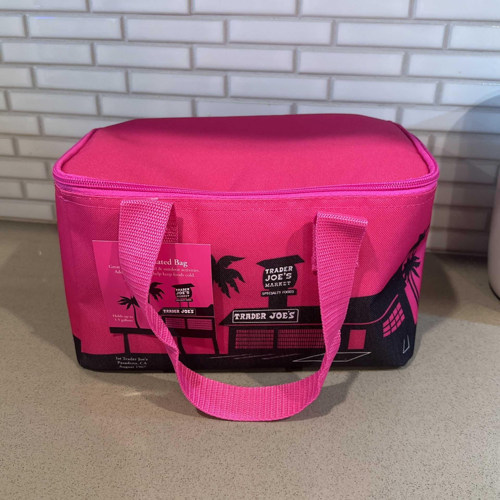 Trader Joes Mini Cooler Bag