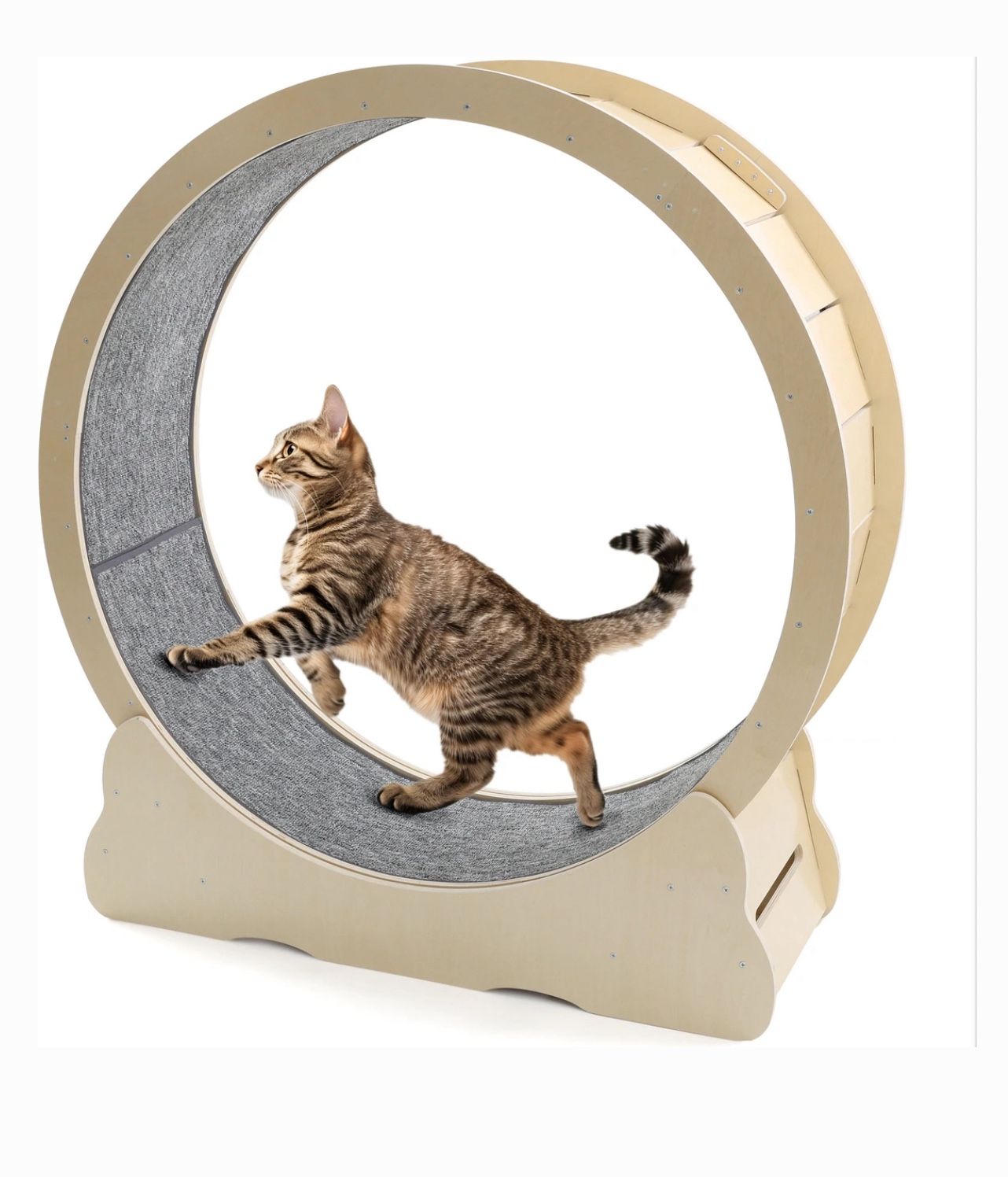 Cat Exercise Wheel