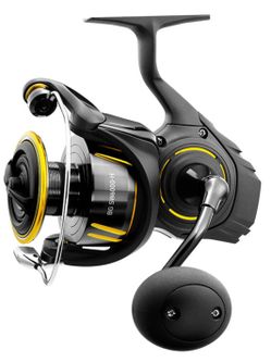 Daiwa BG SW 6000