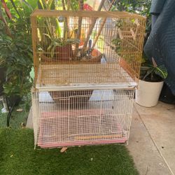 Bird Cage 