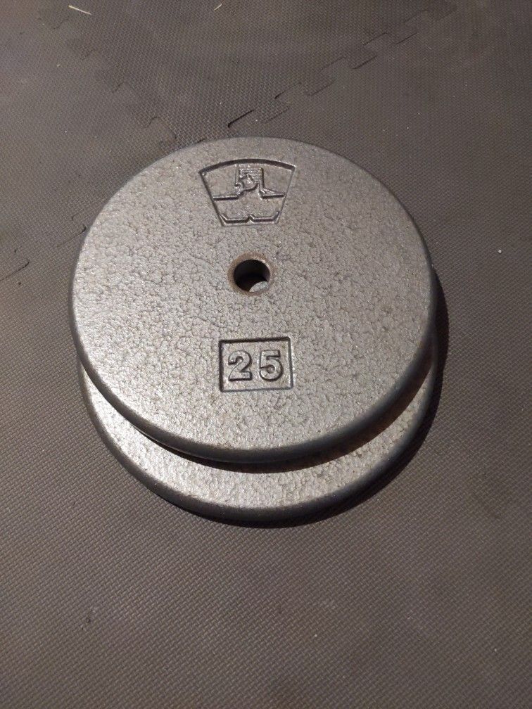 25 lb 1" Weight Plates