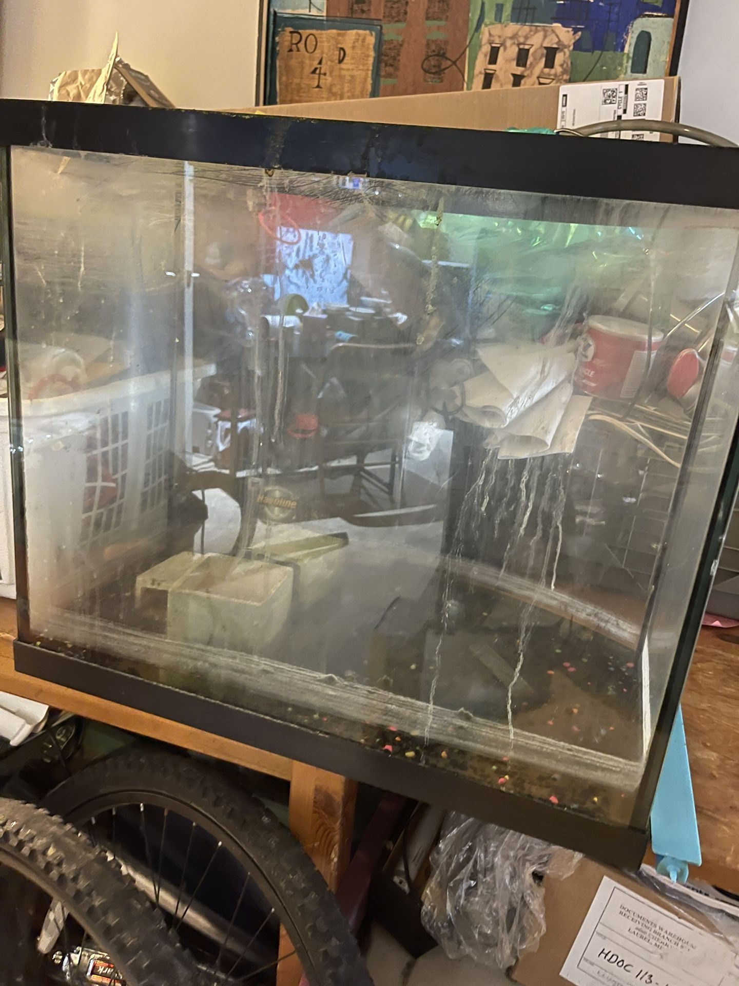 36 Gallon Bow Front W/  TWO 10 Gallon Tanks