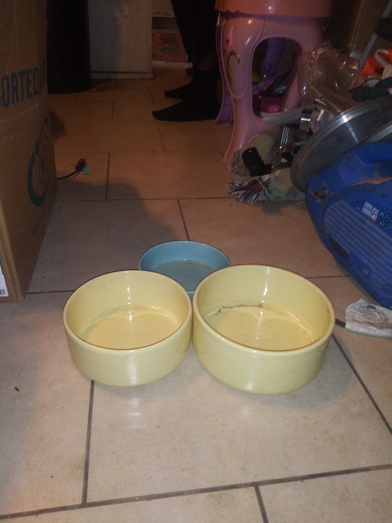 Dog Bowls $4