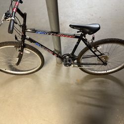 Mountain bike