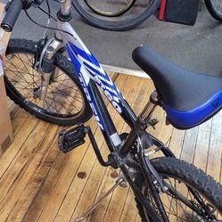 Trek Mountain Bike