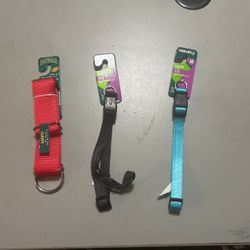 Dog Collars
