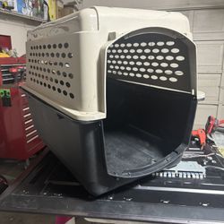 large dog kennel