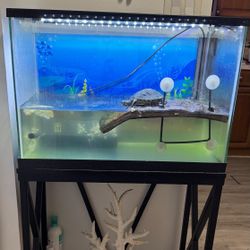 Fish Aquarium for Sale – Great Condition