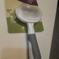 Long Hair Breeds Brush In Weeki Wachee Spring Hill