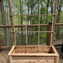 Cedar Platers